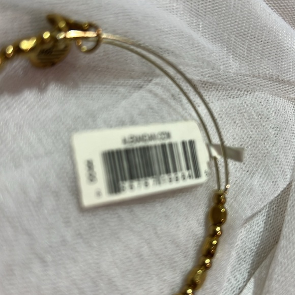 Alex and Ani Solstice Shiny Gold
Bracelet New W/ Tag - Picture 3 of 3
